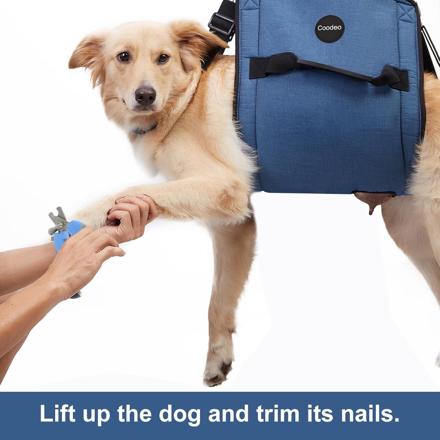 Dog Carry Sling, Emergency Backpack Pet Legs Support & Rehabilitation Dog Lift Harness for Nail Trimming, Dog Carrier for Senior Dogs Joint Injuries, Arthritis, up and down Stairs(2Xl, Blue)