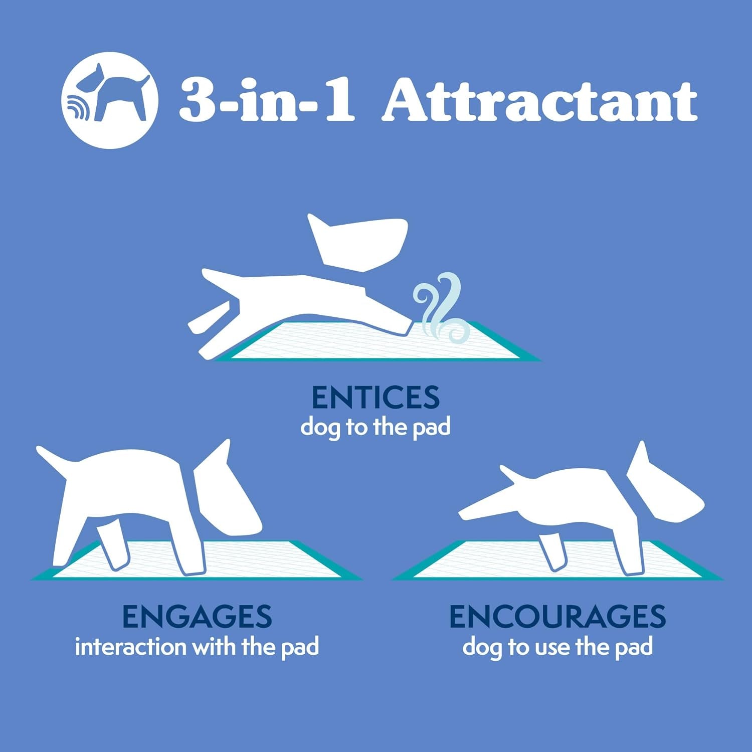 Training Pads, 71 X 76Cm, 50Pk