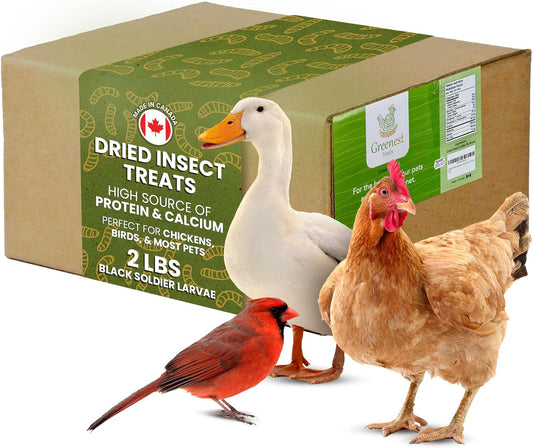 Dried Black Soldier Fly Larvae Chicken Treats for Hens, Duck, Wild Birds, Lizard, Tortoise, Fish - All Natural High Protein Dried Mealworms Alternative